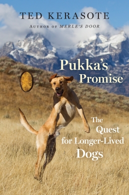 Pukka’s Promise: The Quest for Longer-Lived Dogs